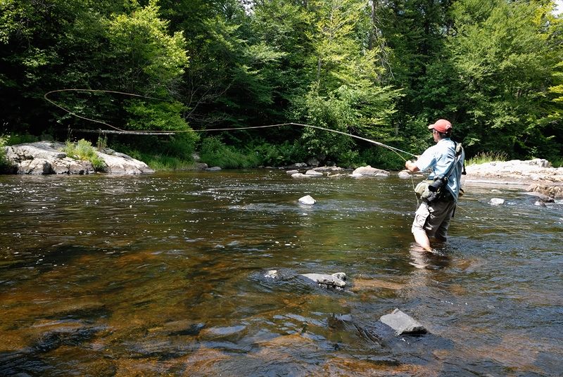 Insect Protection: Keep Mosquitoes Away Without Sacrificing Comfort